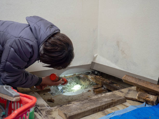 Best Post-Construction Mold Inspection  in Fanning Springs, FL