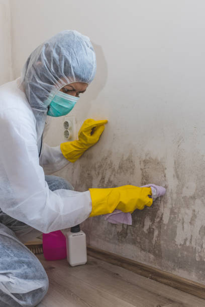 Best Industrial Mold Remediation  in Fanning Springs, FL
