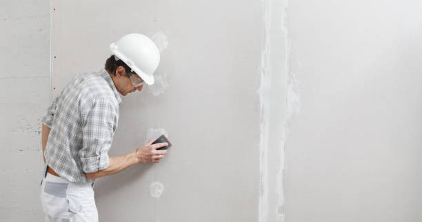 Best Dehumidification Services  in Fanning Springs, FL