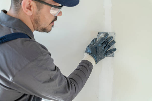 Best Basement Mold Removal  in Fanning Springs, FL
