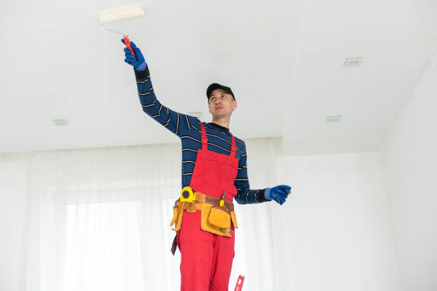 Best Emergency Mold Remediation  in Fanning Springs, FL