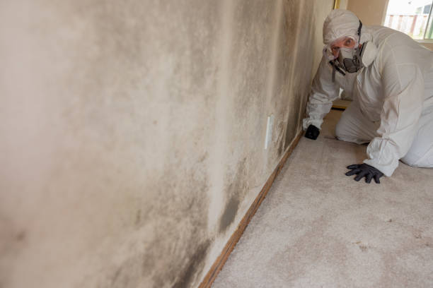 Best Mold Documentation for Insurance Claims  in Fanning Springs, FL