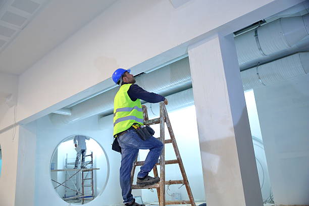 Best Mold Removal for HVAC Installations  in Fanning Springs, FL
