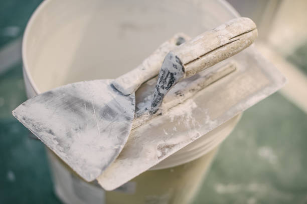 Best Commercial Mold Inspection  in Fanning Springs, FL